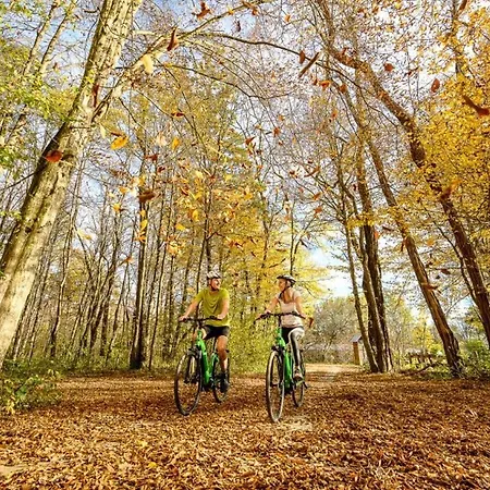 Wagner Restaurant-pension 여관 Halbenrain