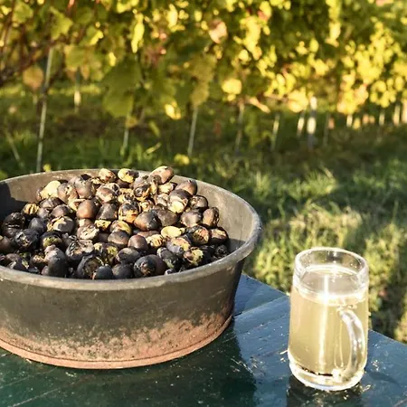 Wagner Restaurant-pension Halbenrain