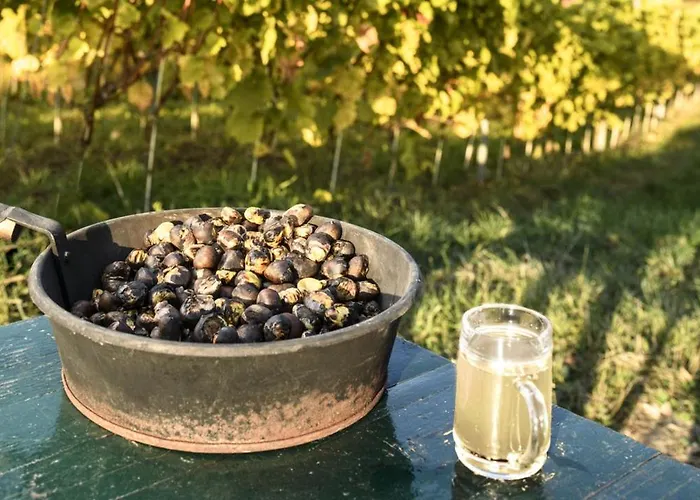 Wagner Restaurant-pension Halbenrain